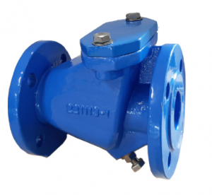 Обратный клапан чугунный Tecofi CBI4248-NI0250